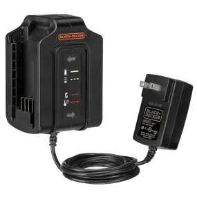 20V MAX* Dual Battery Charger, 2 Batteries Included