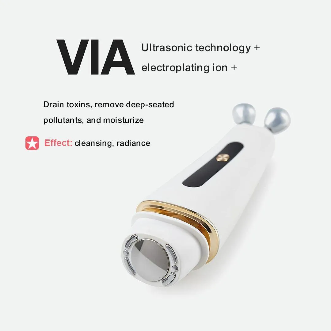 3 in 1 VIA RF/EMS/Ultrasonic Skin Rejuvenation Beauty Device