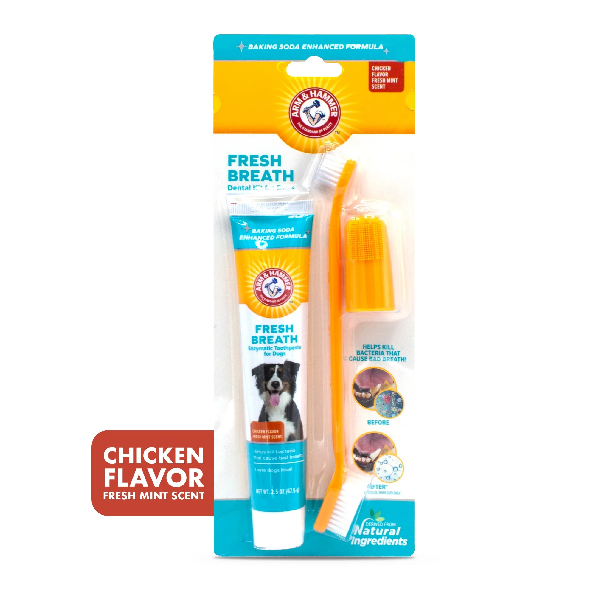 Arm and Hammer Fresh Breath Dental Kit for Dogs Chicken