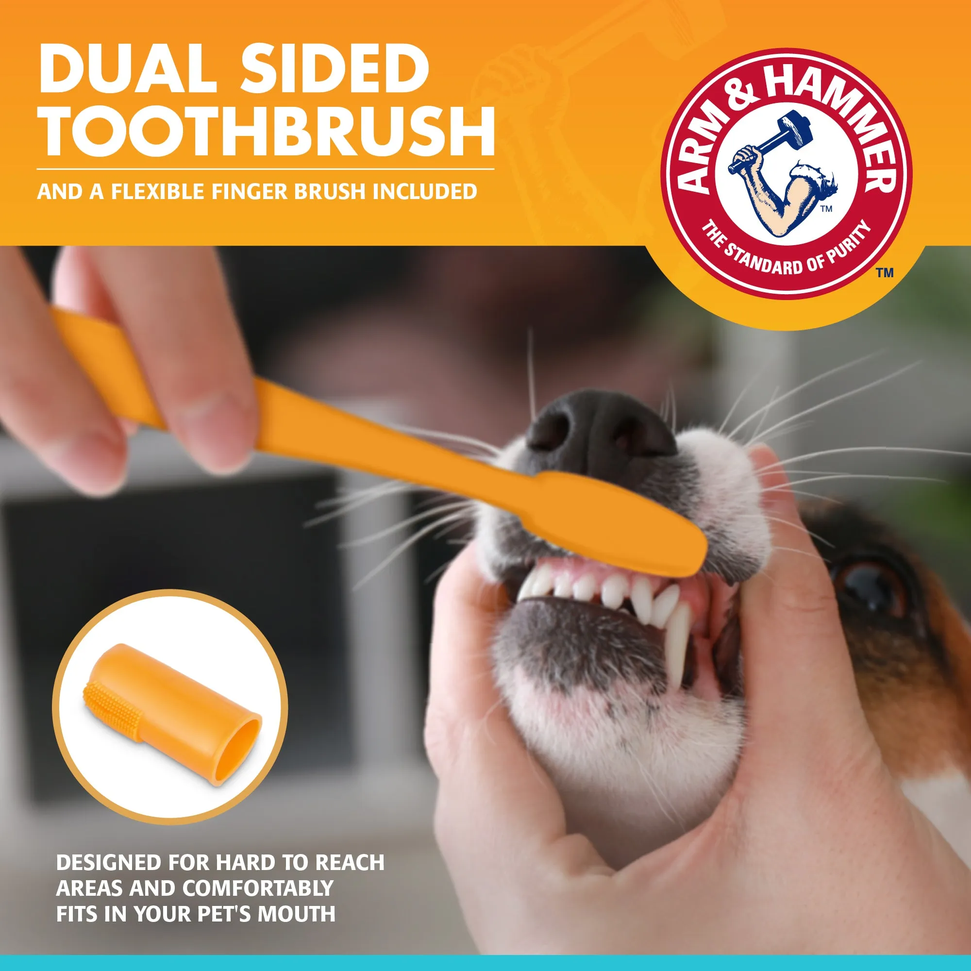 Arm and Hammer Fresh Breath Dental Kit for Dogs Chicken