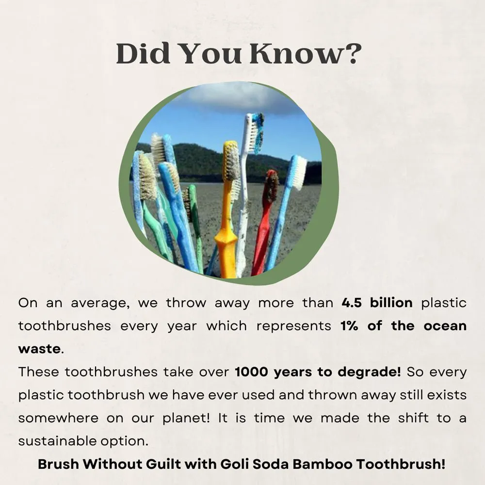 Bamboo Toothbrush - Bpa-Free, Vegan, Verified Non-Toxic - Adult