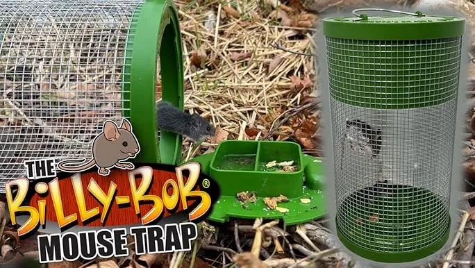 Billy Bob Multi-Catch Mouse Trap