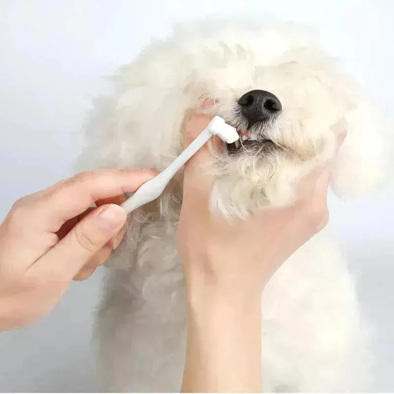 Buy 3pcs Pet Oral Care Kit Dog Cat Dental Care