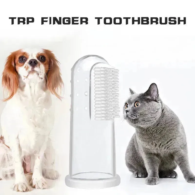 Buy 3pcs Pet Oral Care Kit Dog Cat Dental Care