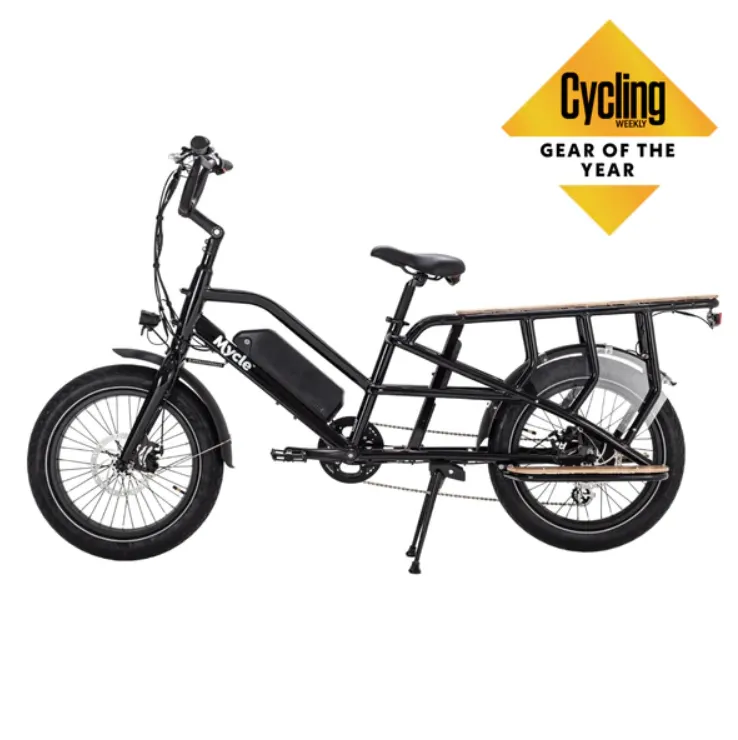 Cargo Electric Bike