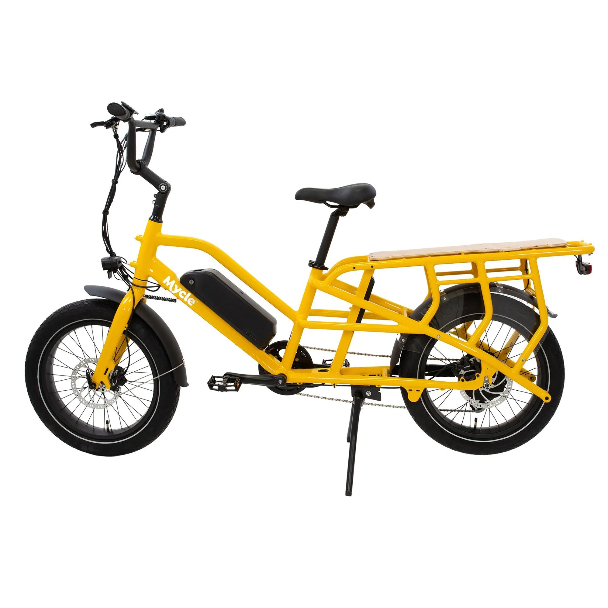 Cargo Electric Bike