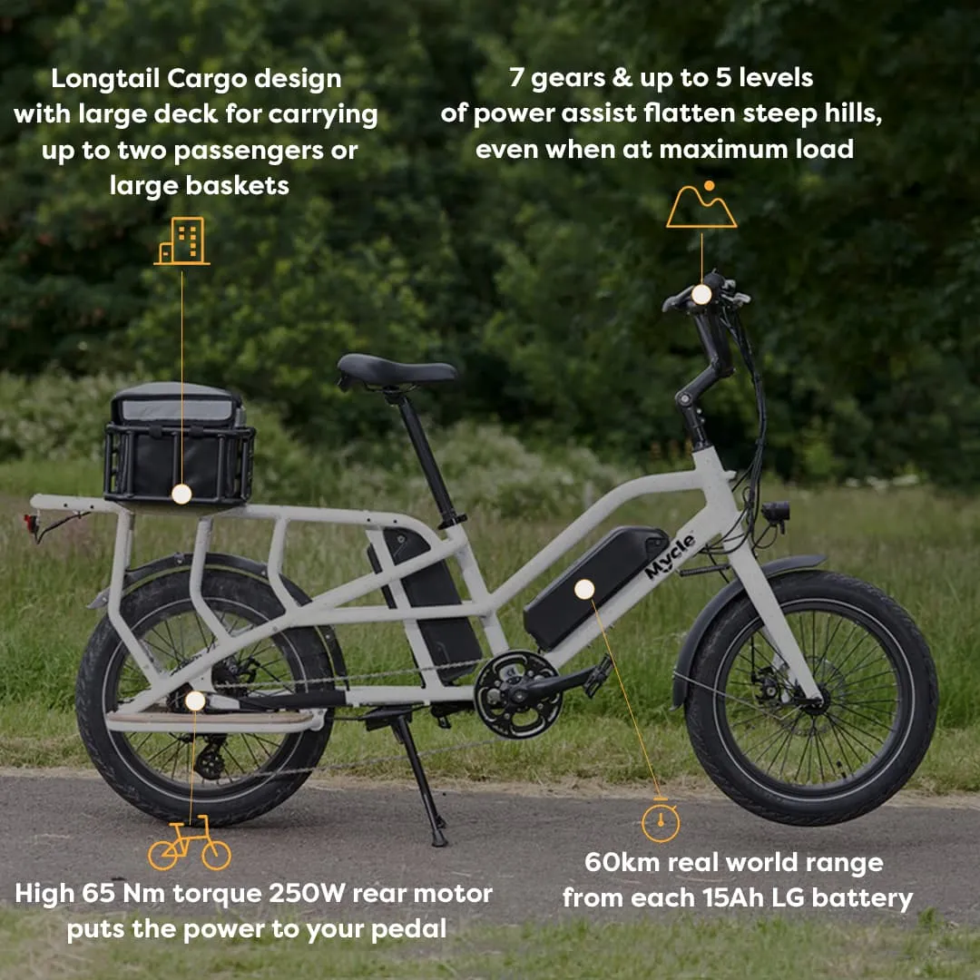 Cargo Electric Bike