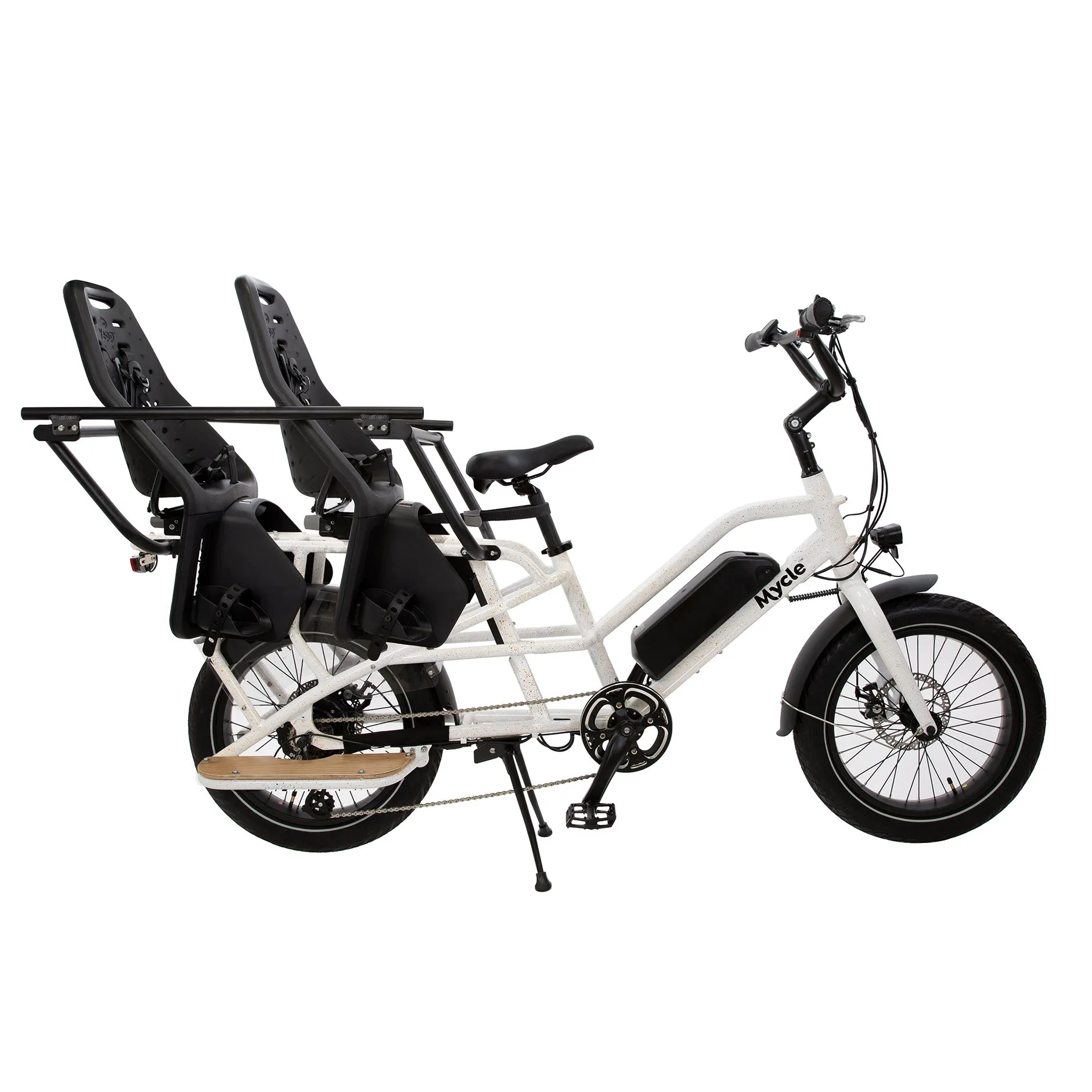 Cargo Electric Bike