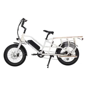 Cargo Electric Bike