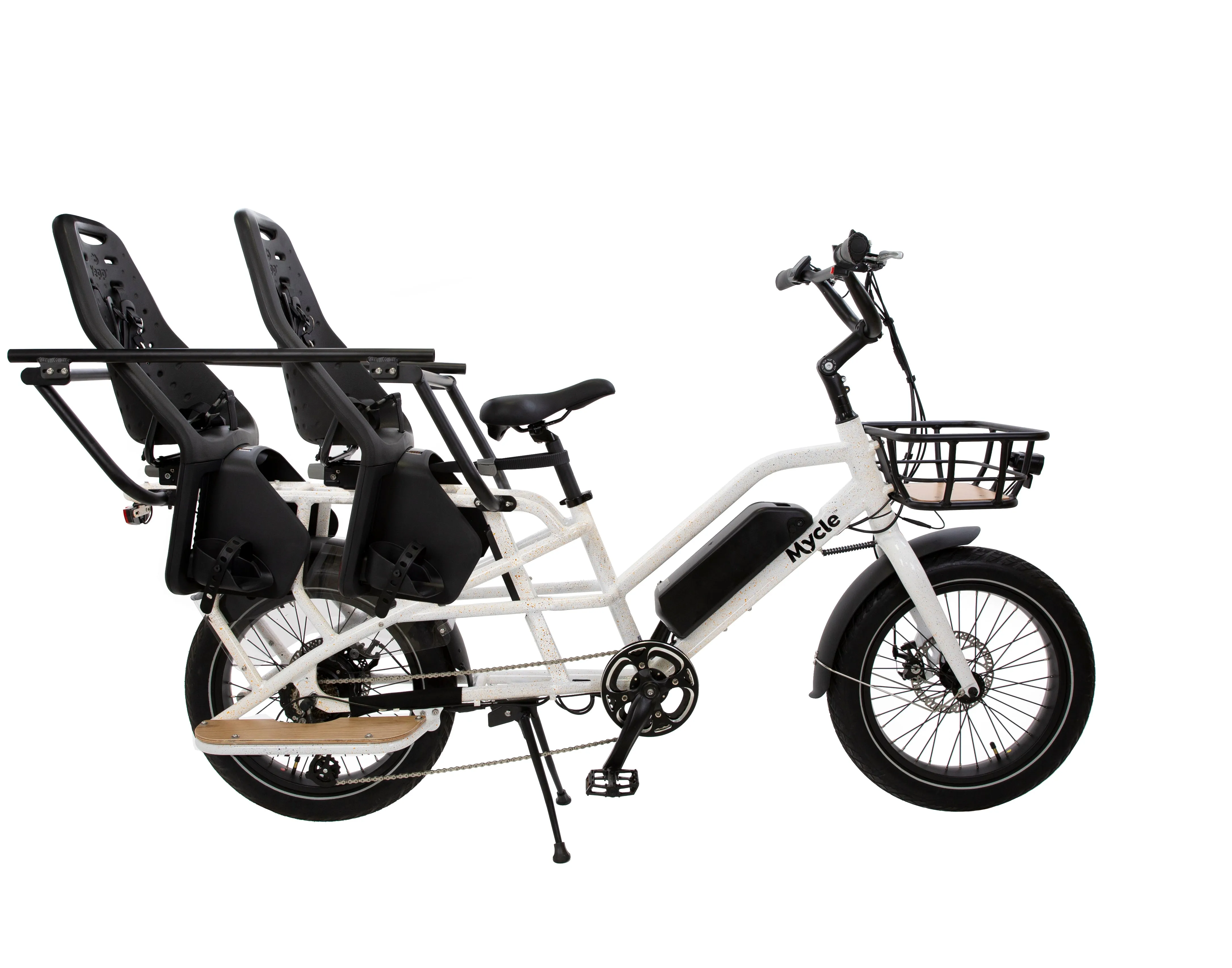 Cargo Electric Bike