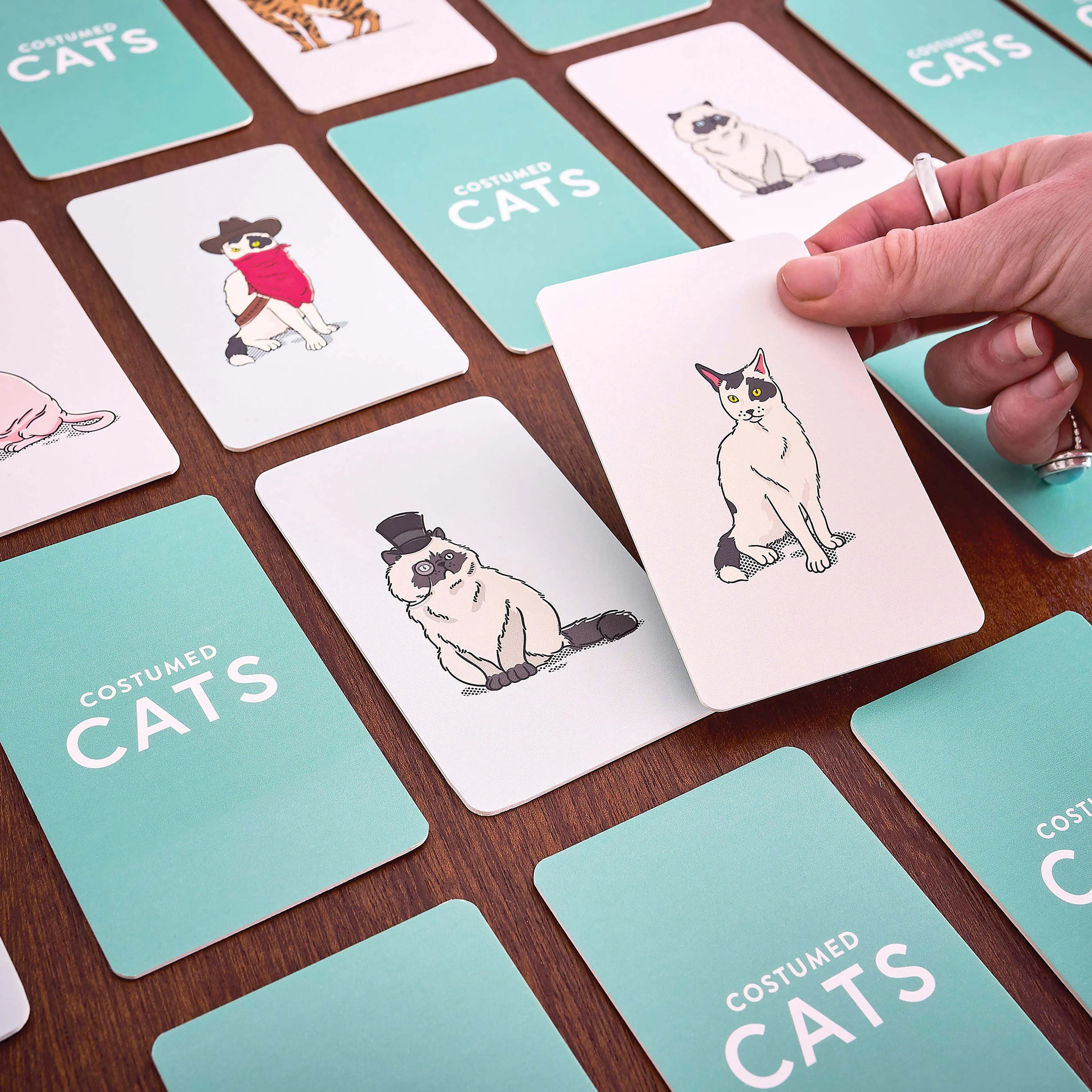 Costumed Cats Memory Game