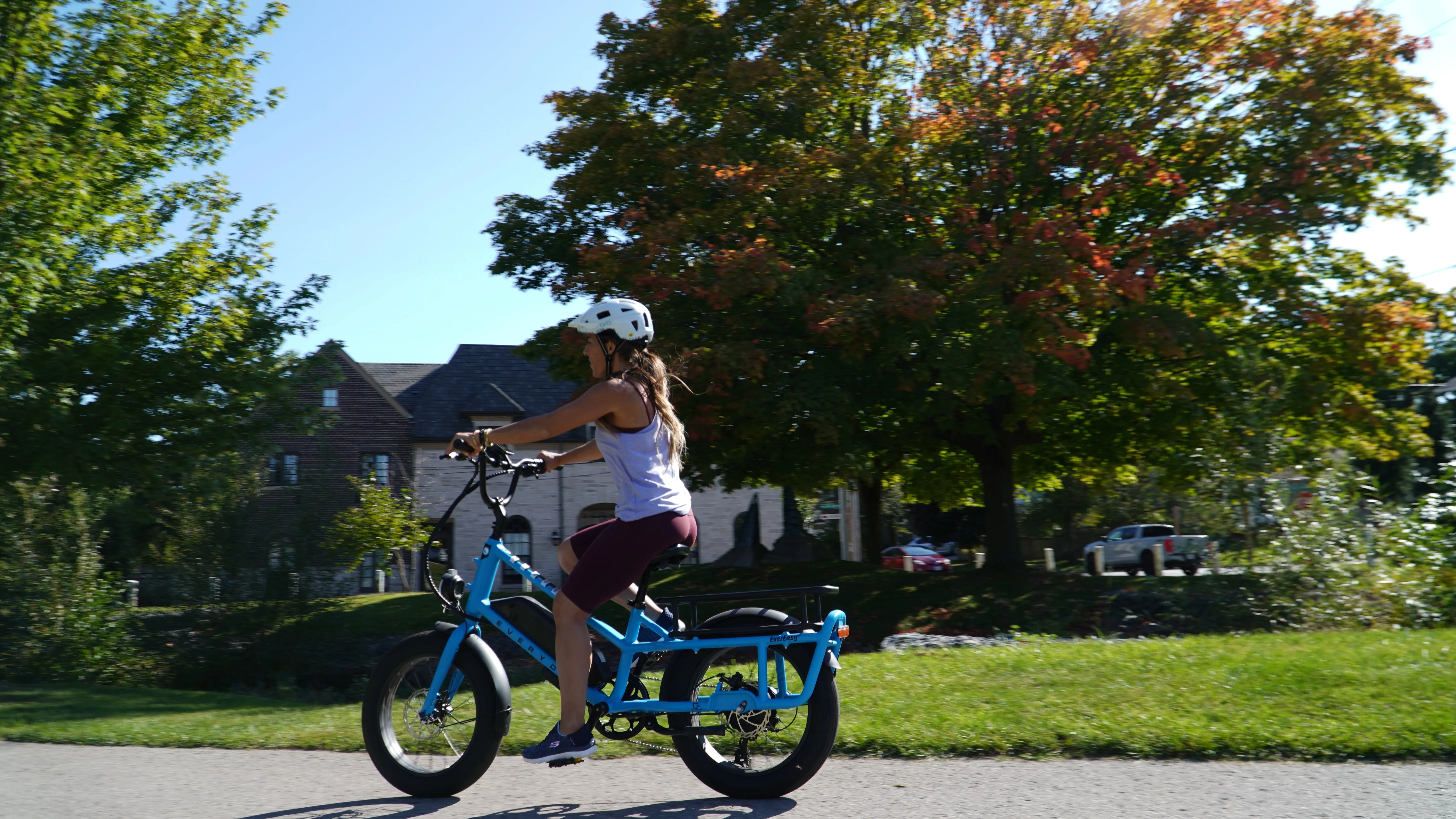 EverEasy Electric Cargo Bike