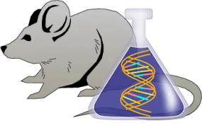 Mouse Factor IX Genetically Deficient Brain Lyophilized