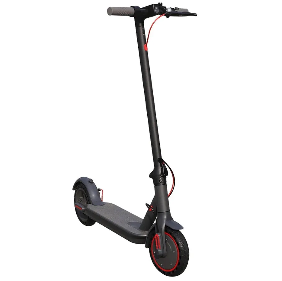 New 2025 Item Pre Order Electric Off Road Scooter EZ6 Model 350 Watts Battery Speed up to 15 MPH 36 Volt 10 AMP