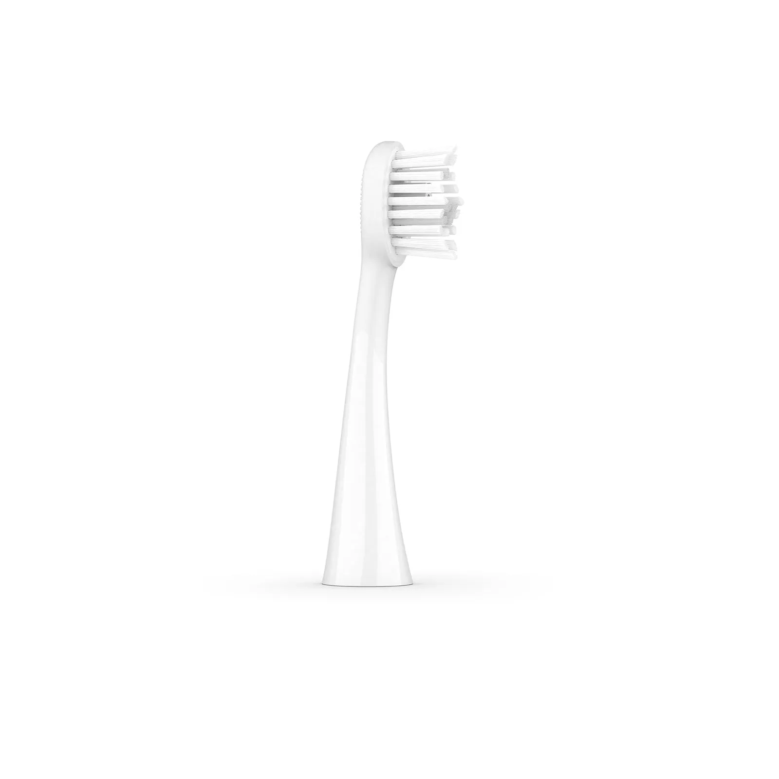 Ordo Sonic  Toothbrush White/Silver