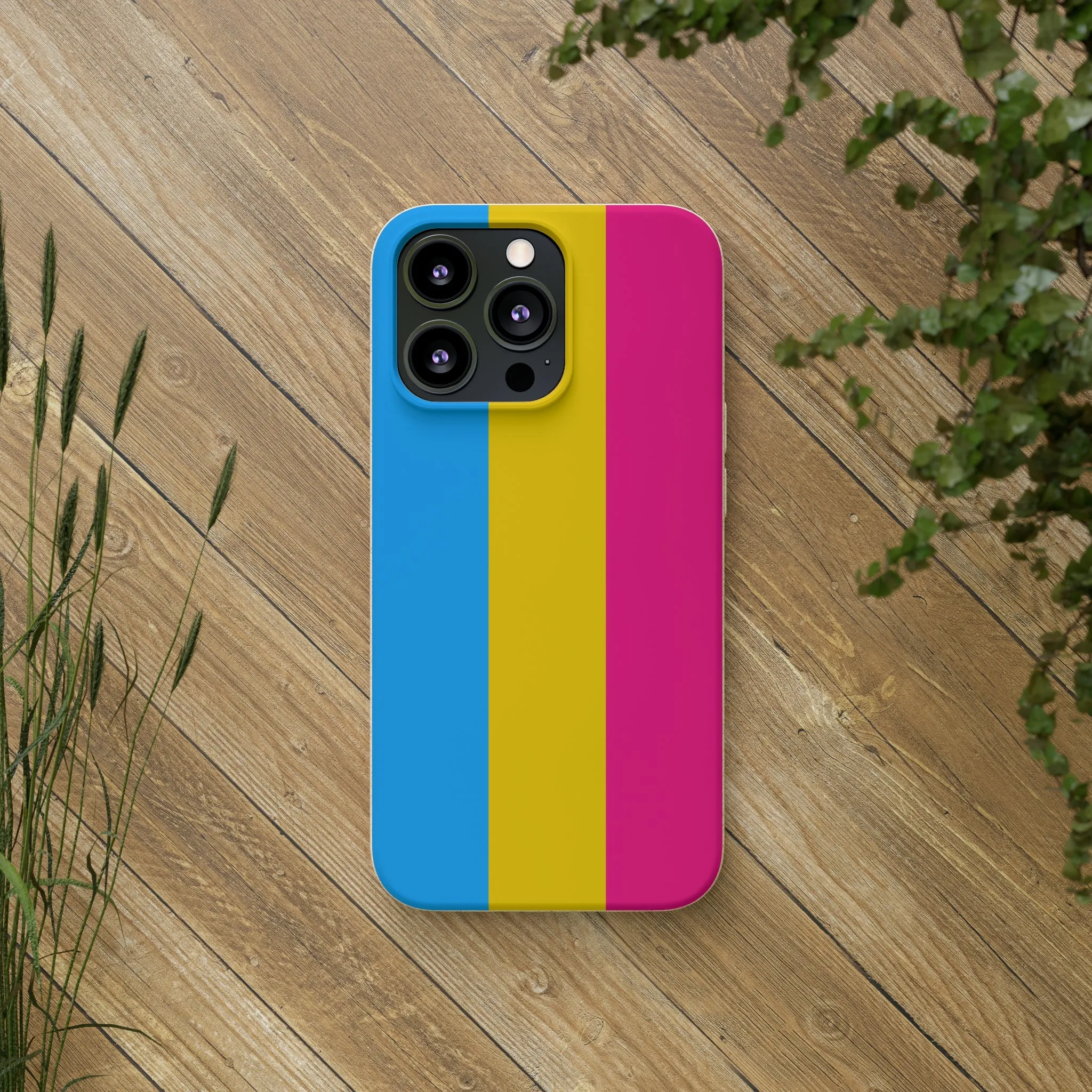 Pansexual Pride Eco-Friendly Biodegradable Phone Case