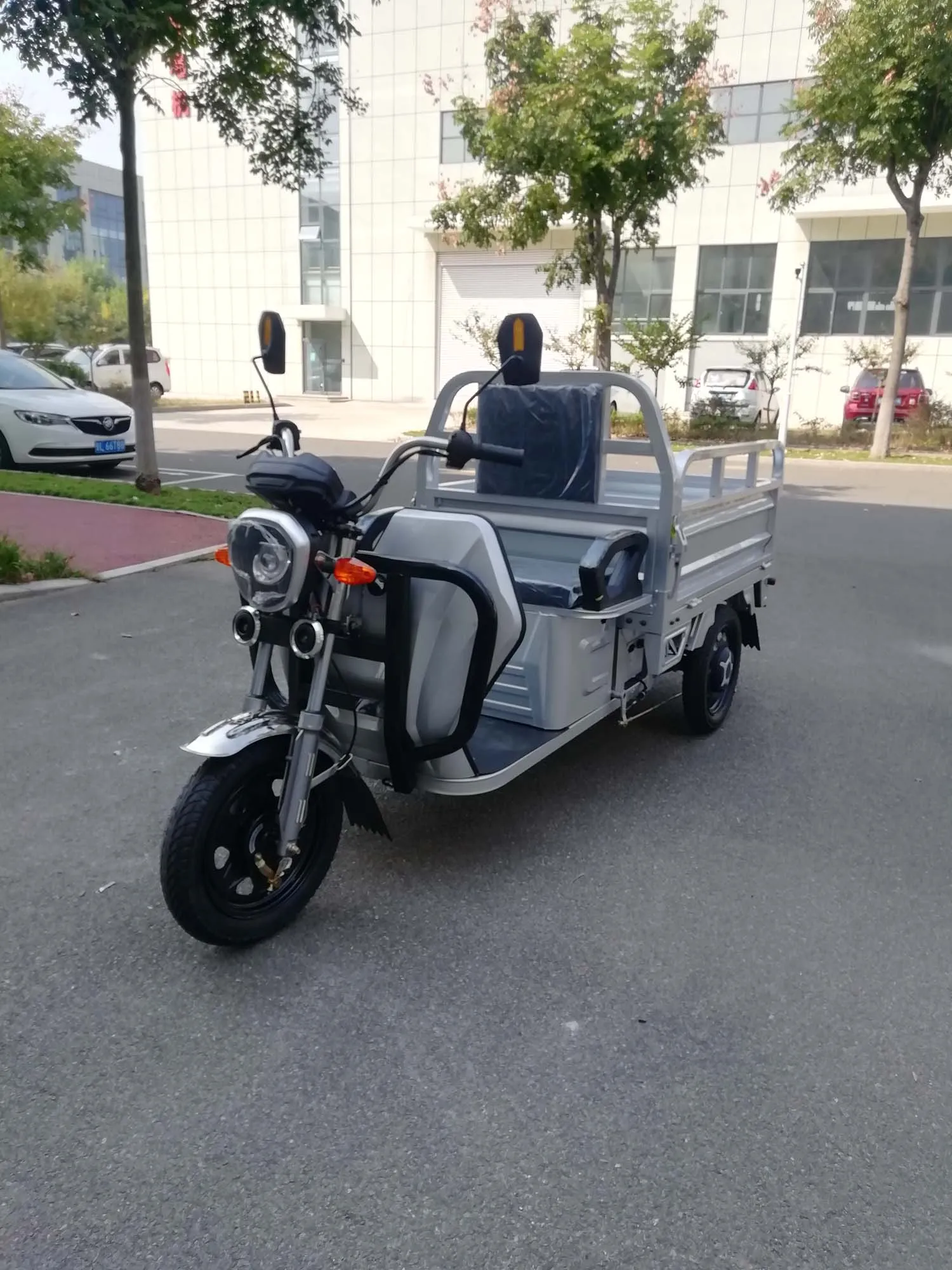 Pet Three Wheeled Electric Cargo Truck