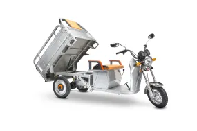 Pet Three Wheeled Electric Cargo Truck