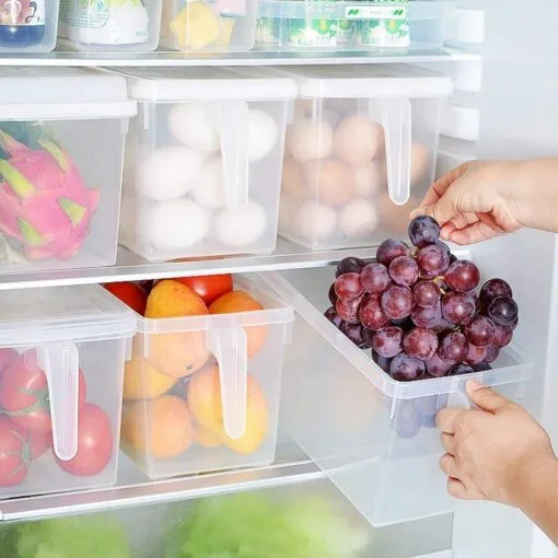 Refrigerator Handle Frozen Food Storage Box