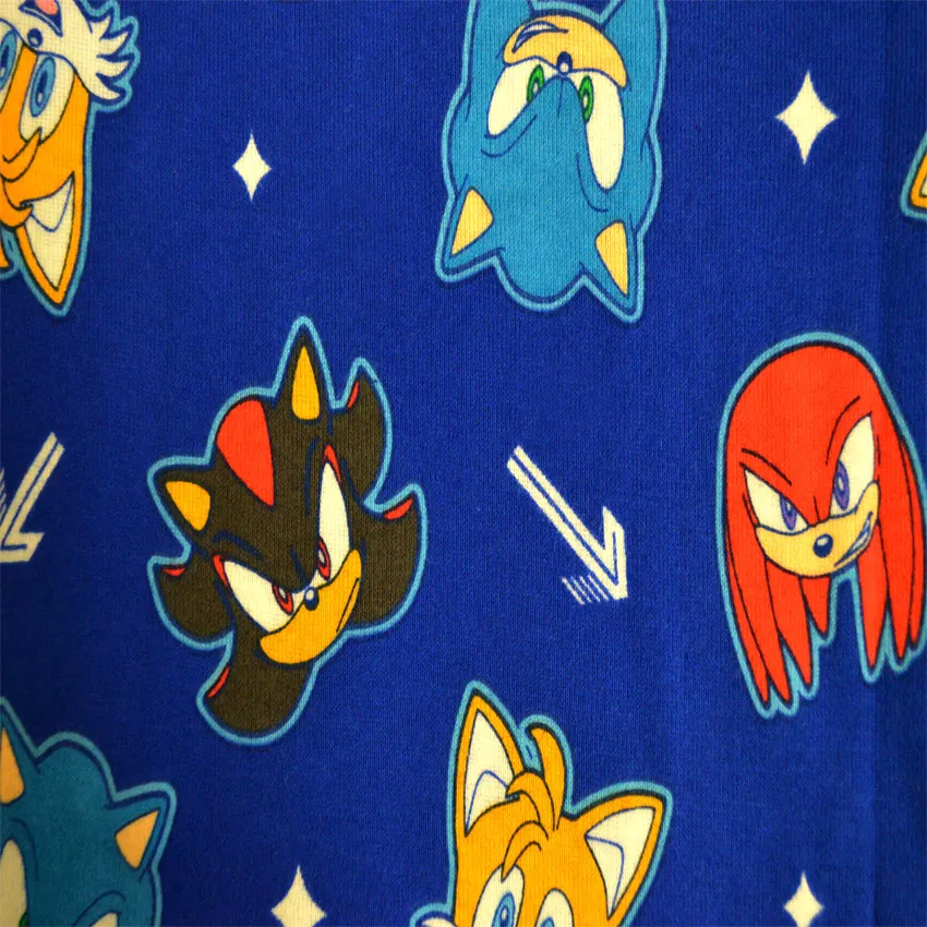 Sonic the Hedgehog Team Sonic Cotton 4 Piece Toddler Pajamas